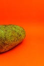 Cempedak or Artocarpus Integer isolated on orange background.