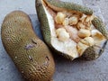 This is a cempedak fruit that has a sweet fragrant taste and is in the same family as jackfruit