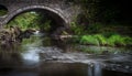 Cenarth bridge Royalty Free Stock Photo