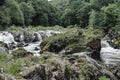 Cenarth falls   Pembrokeshire  wales  water fall Royalty Free Stock Photo