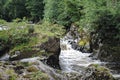 Cenarth falls   Pembrokeshire  wales  water fall Royalty Free Stock Photo