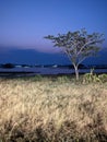 view of the quiet lake at night