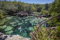 Cenote Azul in Mexico 5