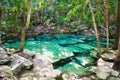 Cenote Azul small lake in Yucatan, Mexico.