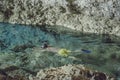 Cenote Cave Interior