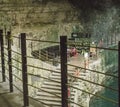 Cenote Cave Interior