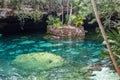 Cenote, a cavern with fresh water in a tropical jungle