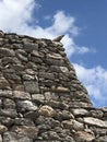 A grey iguana basks in the sunshine of a Mayan pyramid 