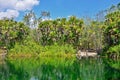 Cenote Cristal, Mexico Royalty Free Stock Photo