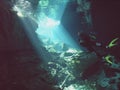 Cenote diver Royalty Free Stock Photo