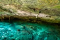 Cenote Dos Ojos - Cave Two Eyes - in Mexico, peninsula Yucatan with sparkling clear water and warm water Royalty Free Stock Photo