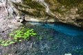 Cenote Dos Ojos near Tulum Mexico Royalty Free Stock Photo