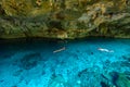 Cenote Dos Ojos in Quintana Roo, Mexico. People swimming and snorkeling in clear blue water. This cenote is located close to Tulum