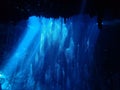Cenote, El Pit. Mexico. Scuba diving Royalty Free Stock Photo