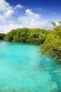 Cenote mangrove turquoise water Mayan Riviera
