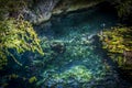 A cenote in Mexico