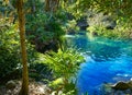 Cenote in Riviera Maya of Mayan Mexico Royalty Free Stock Photo