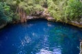 Cenote sinkhole in rainforest mayan jungle Royalty Free Stock Photo