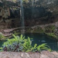 Cenote Zaci - Valladolid, Mexico: is a natural sinkhole, resulting from the collapse of limestone bedrock that exposes groundwater