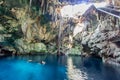 Cenotes in Cuzama, Mexico Royalty Free Stock Photo