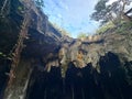 The Cenotes in Yucatan, Mexico with sedimentary rocks that infiltrate rainwater and form large caverns or water reservoirs