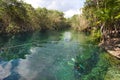 Cenotes, Yucatan, Mexico, Quintana Roo, cave diving in Mexico