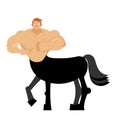 Centaur fairytale creature. Man horse isolated. Fantastic animal