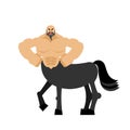 Centaur fairytale creature. Man horse isolated. Fantastic animal