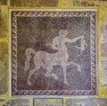 Centaur and rabbit. Mosaic ancient panel of the Archaeological Museum in the Old Town of Rhodes. Greece