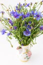 Centaurea triumfettii flowers in a vase Royalty Free Stock Photo
