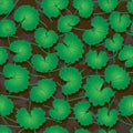 Centella Asiatica seamless pattern Royalty Free Stock Photo