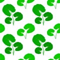 Centella asiatica vector illustration. Gotu kola seamless pattern Fresh green leaf repeated texture for organic