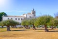 Centenary olive trees and Convent of San Francisco de AsÃÂ­s in the background in Estepa, province of Seville.