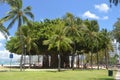 Centennial Tree On Waikiki Beach. Royalty Free Stock Photo