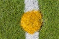 Center of artificial grass soccer pitch Royalty Free Stock Photo