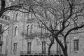 Center of Beirut, capital of Lebanon, tree and classical architecture and characteristic of the country, Lebanese arches