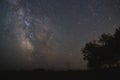 The center of our home galaxy, the Milky Way rising over the field, the night stars landscape, the tree under stars Royalty Free Stock Photo