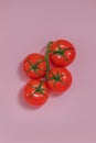 In the center on a pink background are four tomatoes on a branch Royalty Free Stock Photo