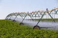 Center pivot crop irrigation system for farm management Royalty Free Stock Photo