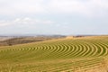 Center pivot irrigated farm Royalty Free Stock Photo