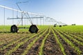 Center pivot irrigation system Royalty Free Stock Photo