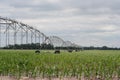 Center pivot irrigation well Royalty Free Stock Photo