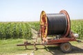 A center pivot sprinkler system watering a grain field in the fe