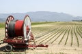 A center pivot sprinkler system watering a grain field in the fe