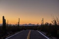 Center Of The Road Through Saguaro Cactus Royalty Free Stock Photo