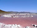 Center of the Spiral Jetty Royalty Free Stock Photo