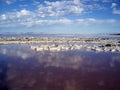 Center of the Spiral Jetty Royalty Free Stock Photo