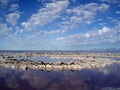 Center of the Spiral Jetty Royalty Free Stock Photo