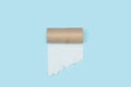 Center of a toilet paper roll with the last piece of paper Royalty Free Stock Photo