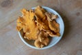 Centered bowl of yellow chanterelle mushrooms, vegetarian vegan food ingredient Royalty Free Stock Photo